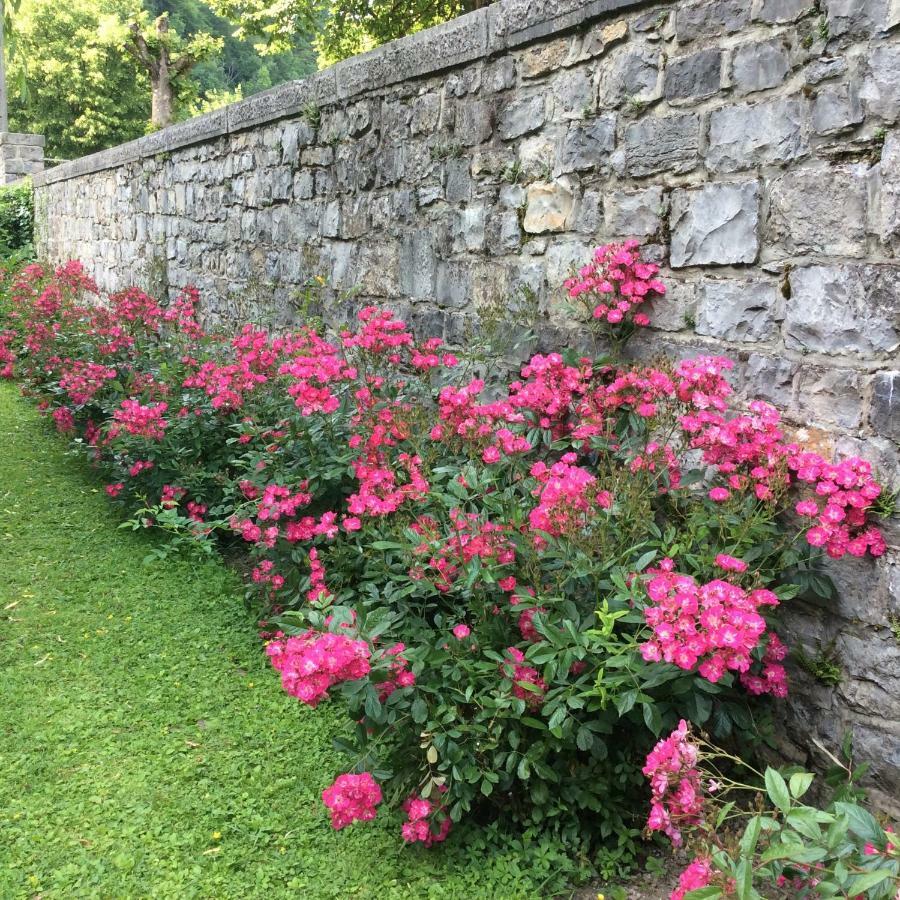 La Villa Des Roses Durbuy Buitenkant foto